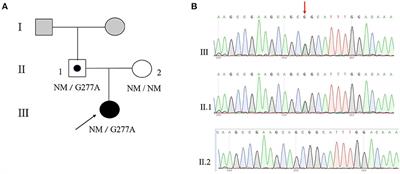 A Novel Loss-of-Function MKRN3 Variant in a Chinese Patient With Familial Precocious Puberty: A Case Report and Functional Study